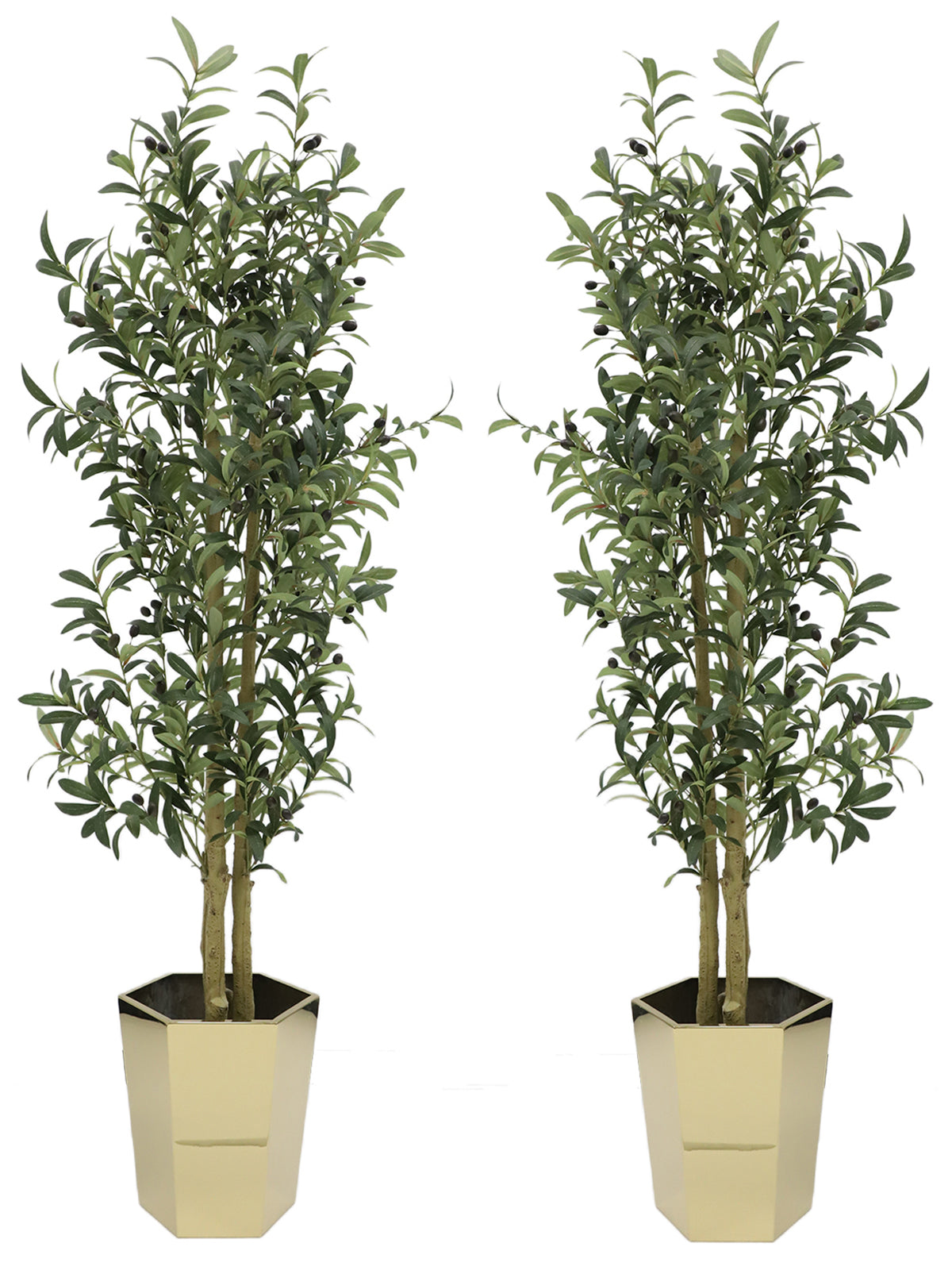 Artificial Olive Tree set of 2 | 5ft | Gold metal pot | A102