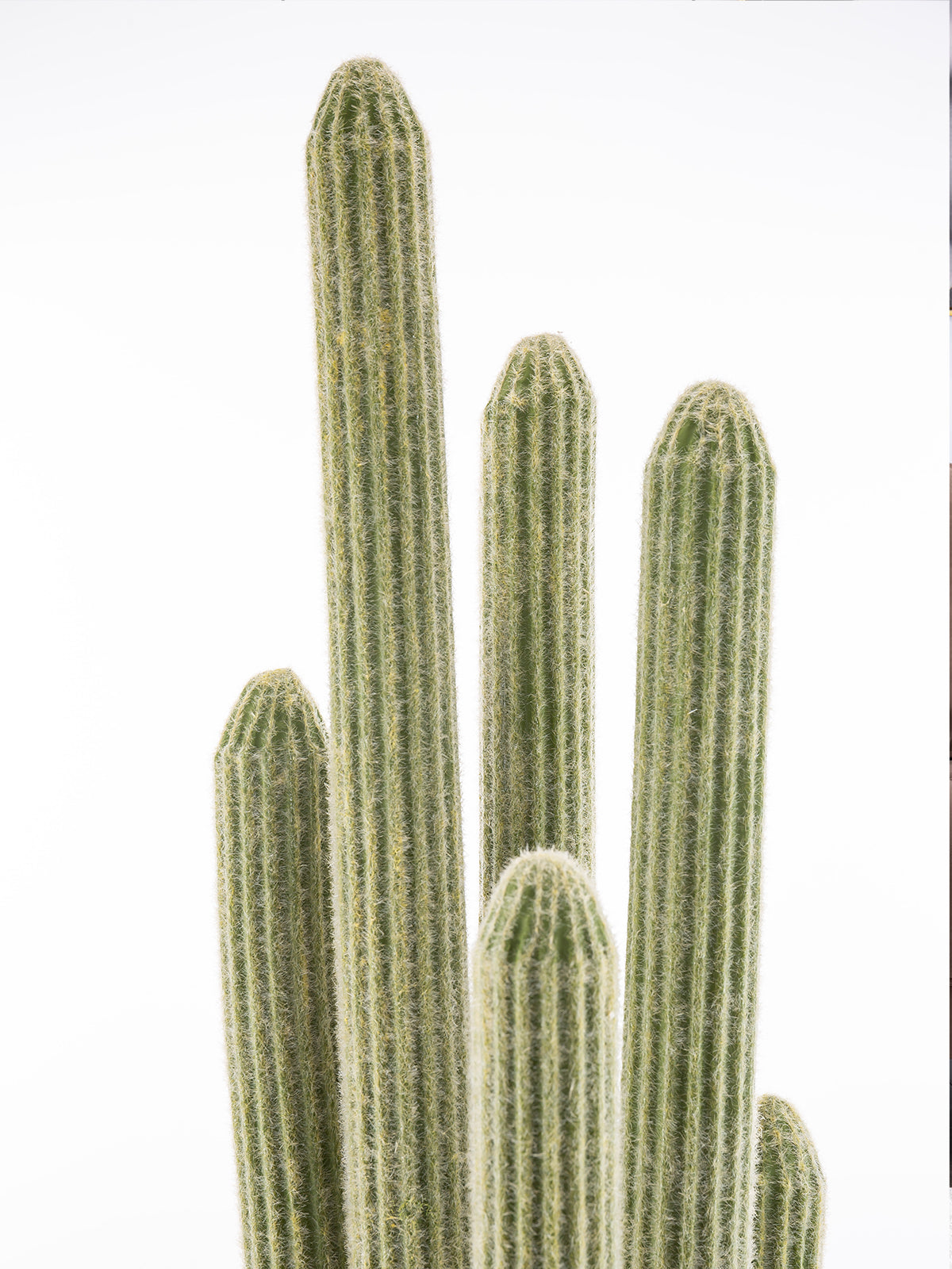 Artificial Cactus Plants | 47" Tall | Gold metal pot | A100